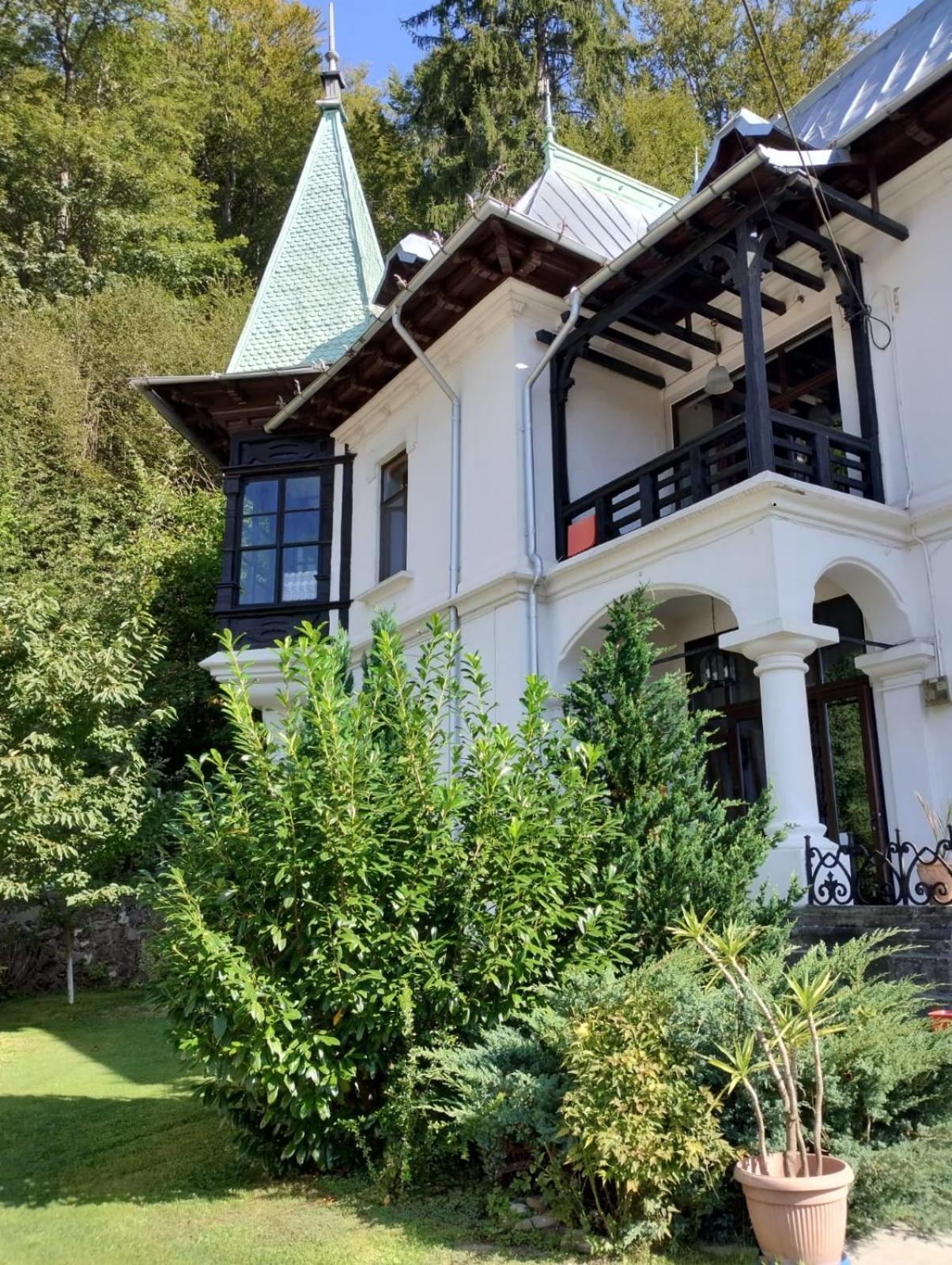 Il Piccolo Castello Busteni Exterior photo