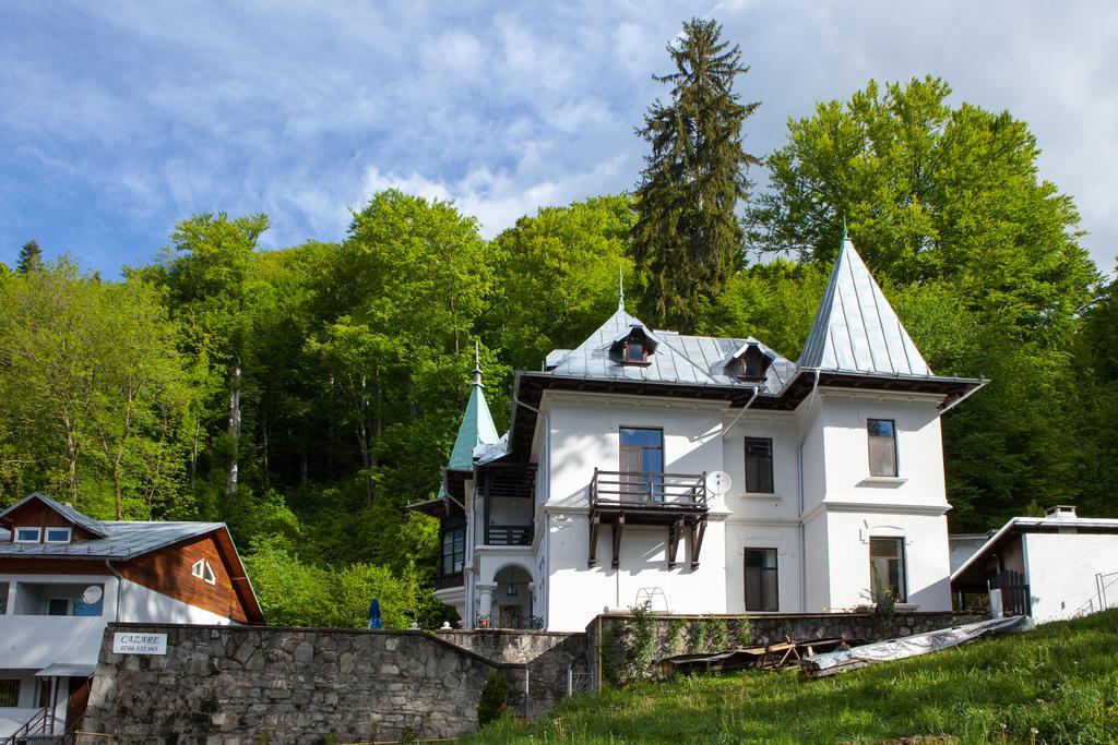Il Piccolo Castello Busteni Exterior photo