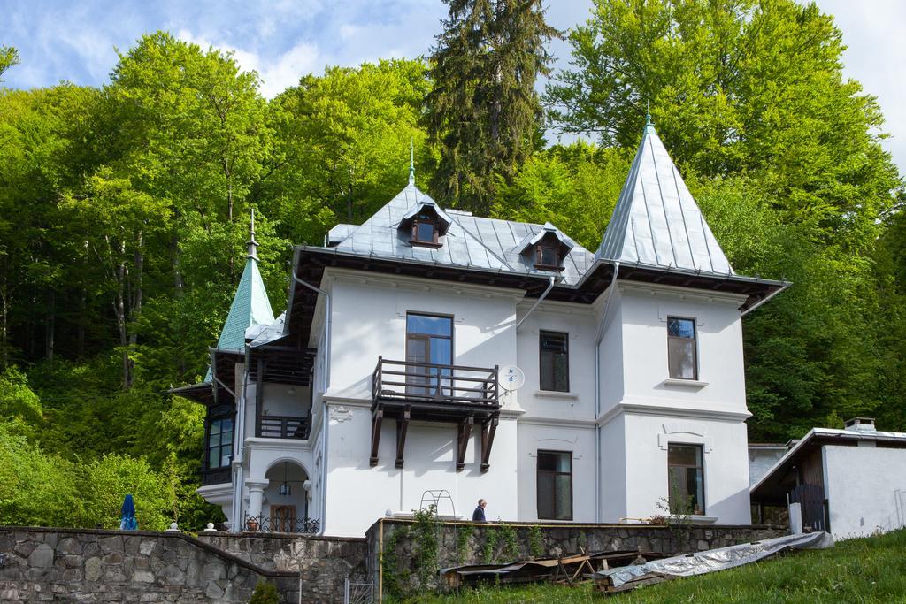 Il Piccolo Castello Busteni Exterior photo